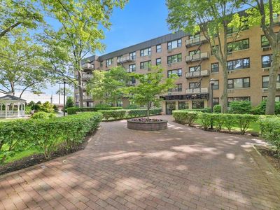 6 Birchwood Court #5N, Mineola, NY, 11501