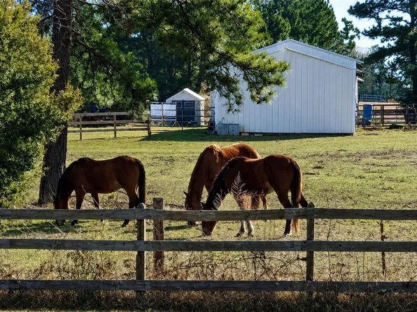 18803 Maverick Ranch Rd E, Magnolia, TX 77355