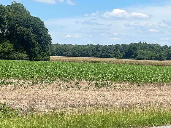 3rd image of 4177 Highway 38
