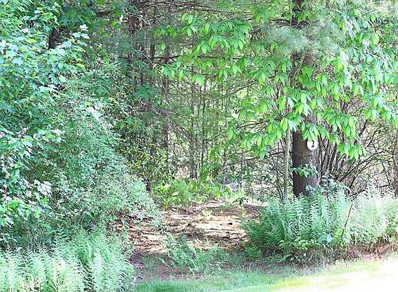 3rd image of LOT2 Hosta Ln #2