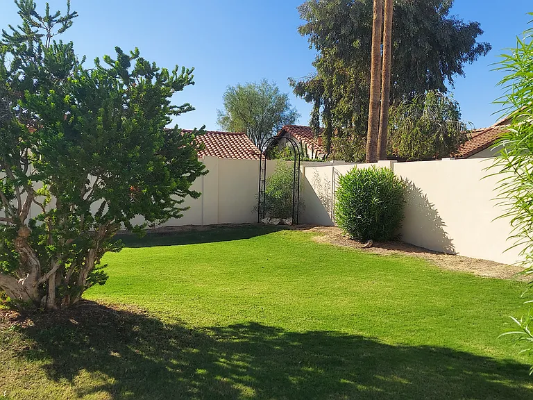 459 E Marigold Ln — Photo 23