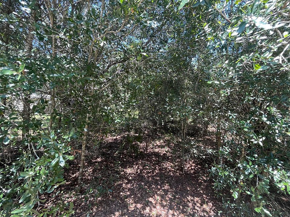 1st image of 7617 W Citruswood Drive