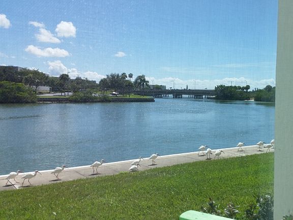 2nd image of 7425 Bay Island Dr S APT 105