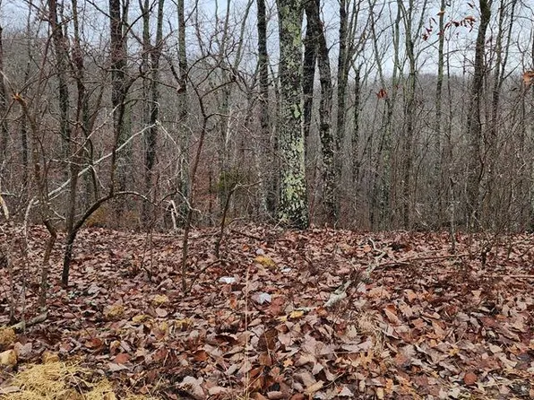 0 Mary Ave, Holladay, TN 38341
