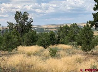 LOT 23 Road V4, Dolores, CO 81323