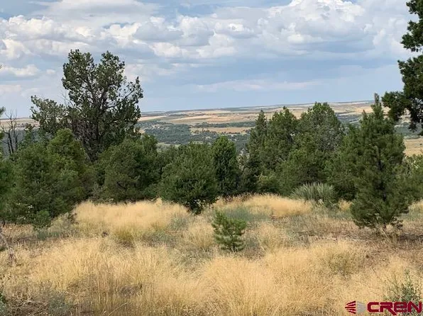 Lot 23 Road V.4, Dolores, CO 81323