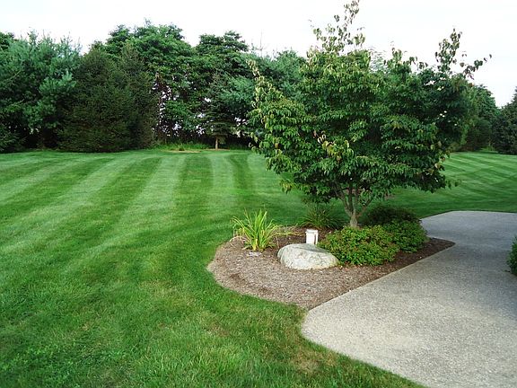Back yard and patio