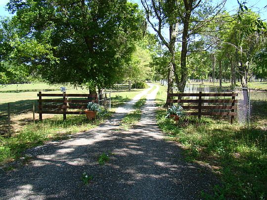 4th image of 12034 Bellamy Brothers Blvd