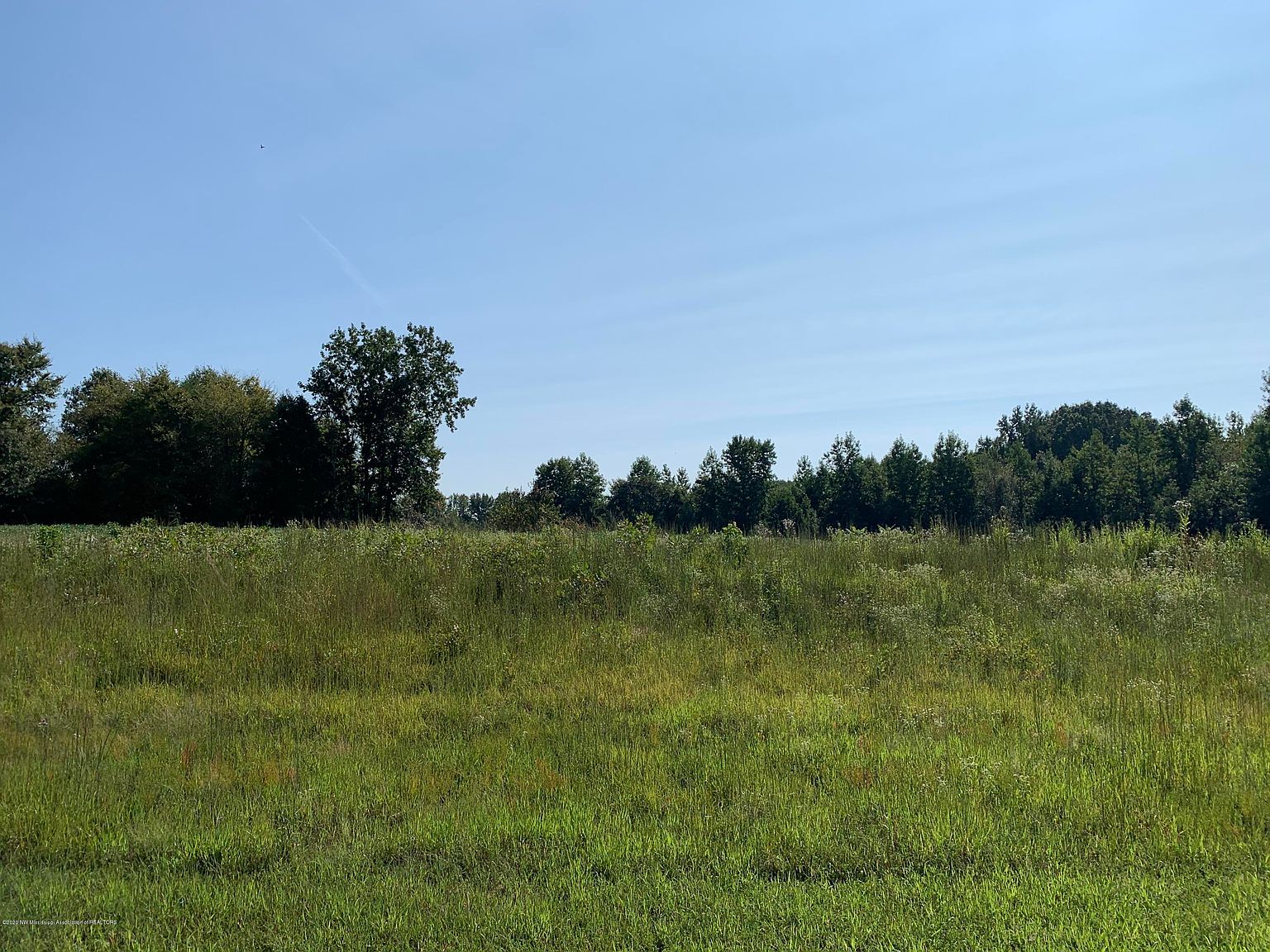 4 Mays Dr, Coldwater, MS 38618 Zillow