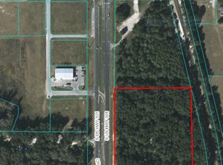 16649 S Us Highway 301, Summerfield, FL 34491