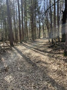 0 Forest Road 1637 Road, Pound, WI, 54161