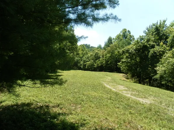 153 Crigger Crk, Tutor Key, KY 41263