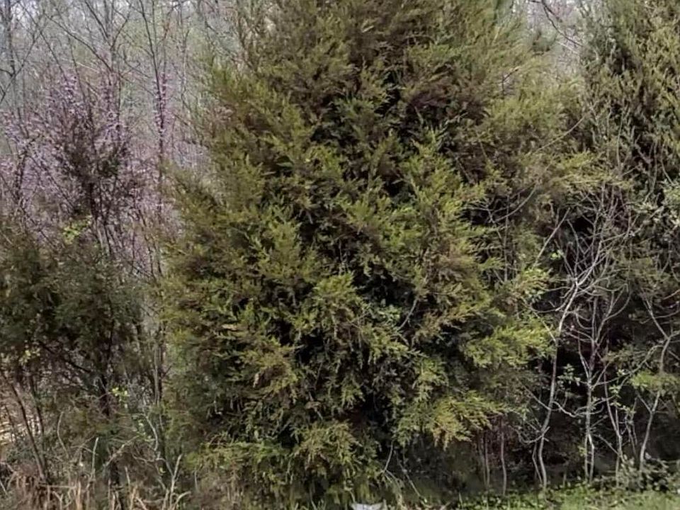 1st image of 67 Lookout Ridge