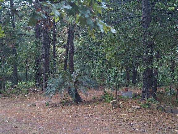 5th image of 5222 Evergreen Forest Ln