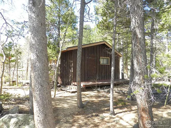 57 County Road 113s, Allenspark, CO 80510