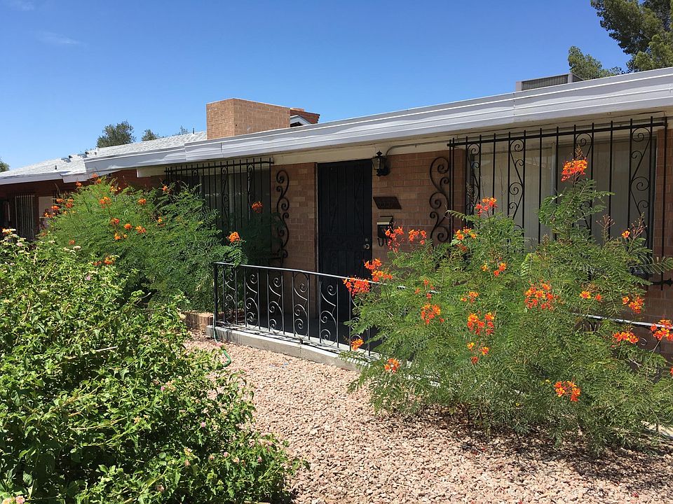 Mature desert landscape out front. Fruit trees and garden in