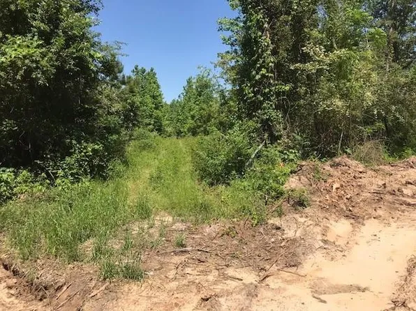 Woodchuck Rd, Pittsburg, TX 75686