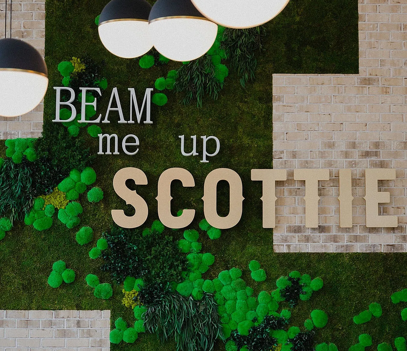 The Scottie — Photo 2