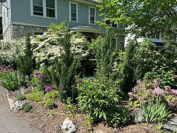 2nd image of 85 Glenwood Blvd