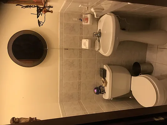 Rented by PLUSH REALTY Inc | media 21