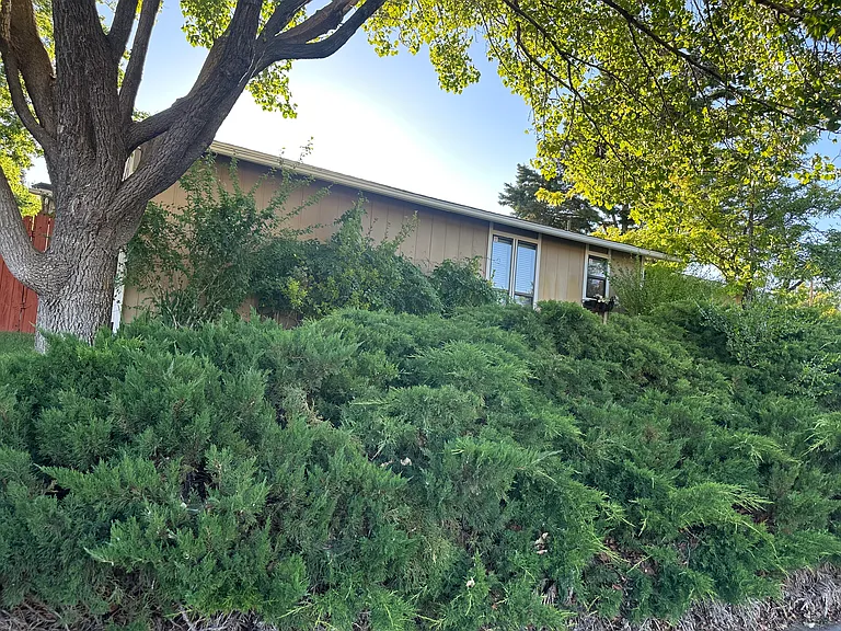 1500 Ellendale Ct — Photo 2