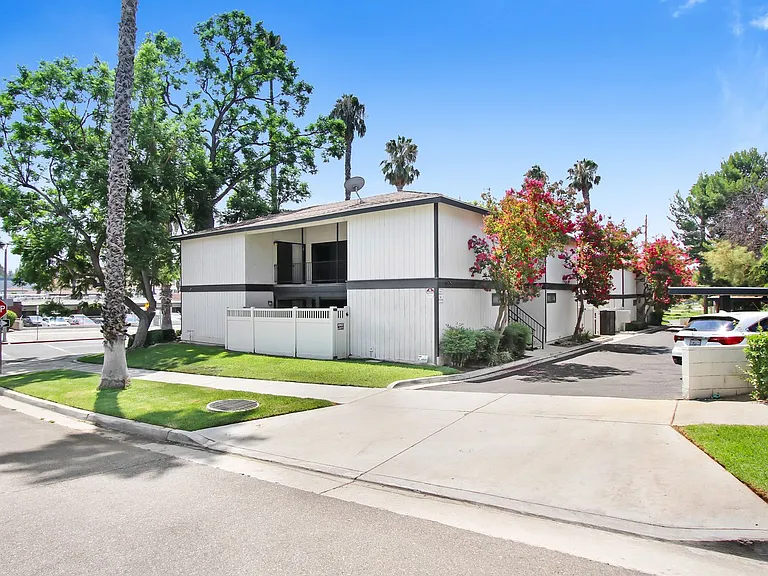 Palm Riverside — Photo 8
