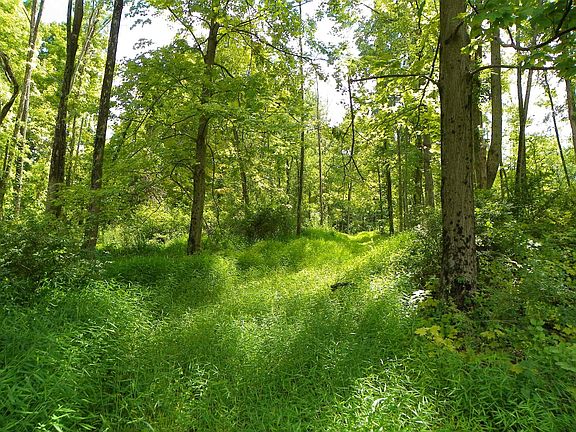 4th image of 1 Pond View Ct