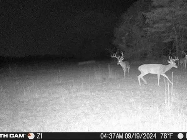800 County Road 2600, Bonham, TX 75418