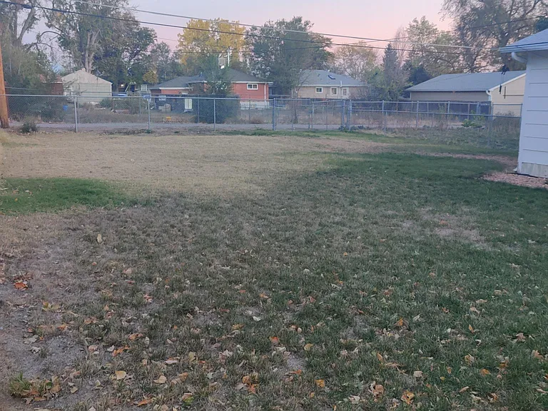 Expansive Back Yard