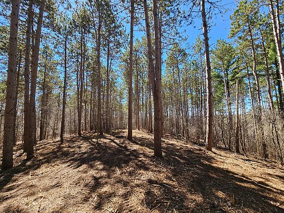 4th image of LOT 8 County Road C