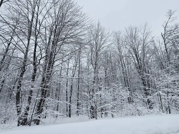 4647 Hillview Dr, Elmira, MI 49730