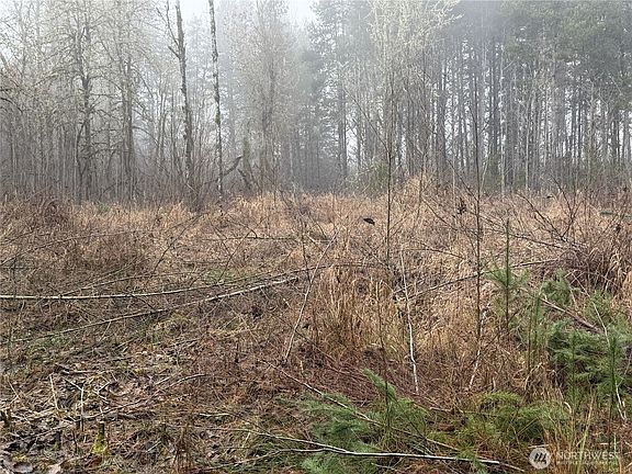 4th image of 310 Oyler Road