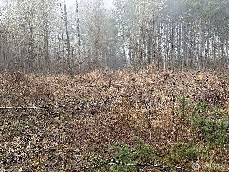 4th image of 310 Oyler Road