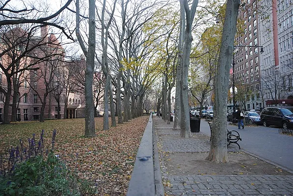 Rented by Bold New York | media 39