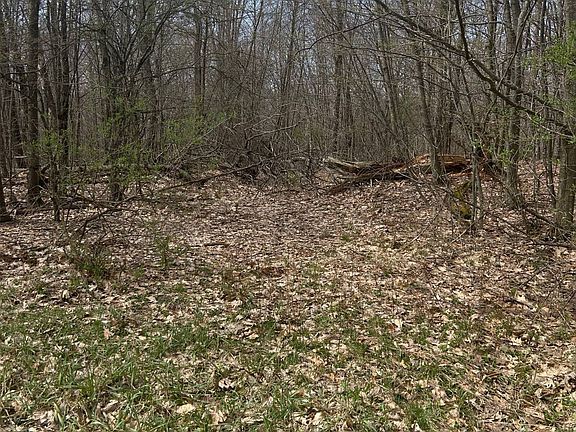 2nd image of 955 Woodland Rd