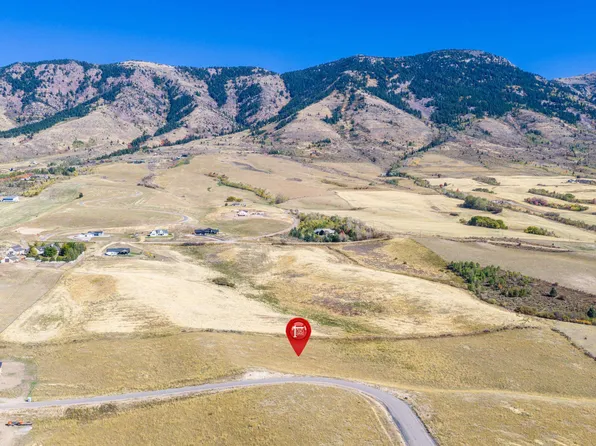 Grey Fox Loop, Inkom, ID 83245
