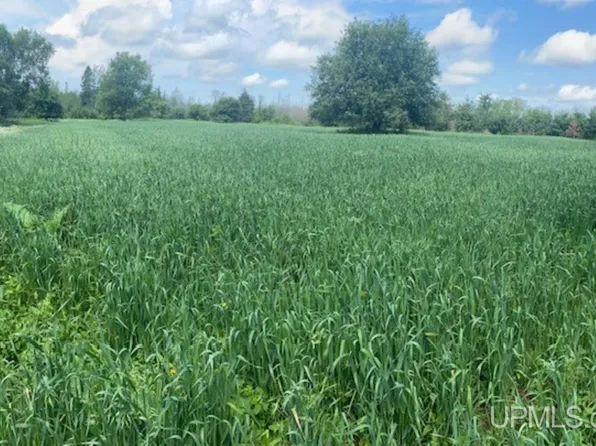 Tbd N Rumely Rd, Rumely, MI 49826