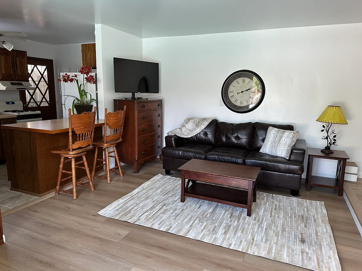 Leather couch makes into a queen bed - 304 N Shelton St