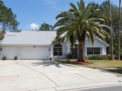 9144 Rockrose Dr, Tampa, FL, 33647