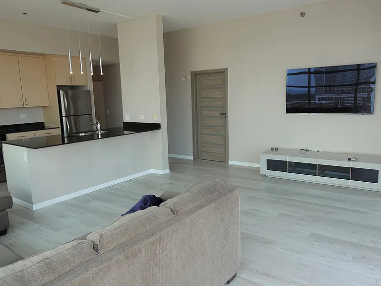 1620 S Michigan Ave #805 — Photo 9