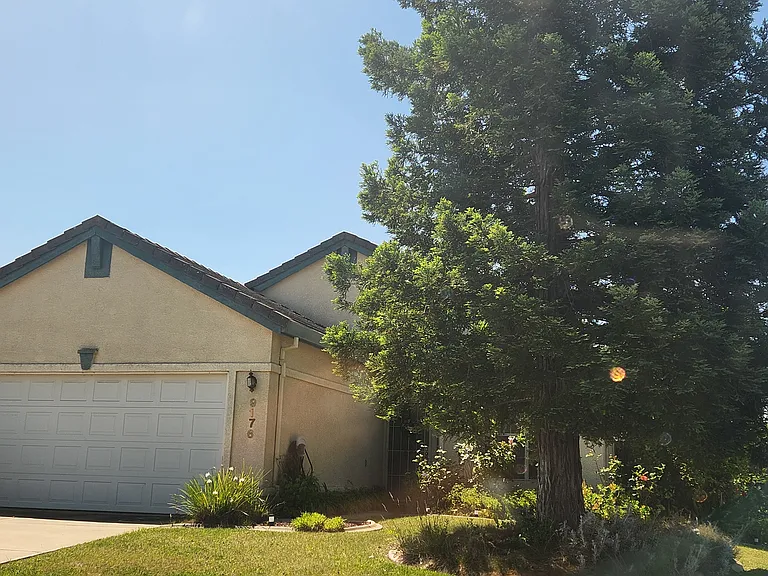 9176 Rose Parade Way — Photo 4