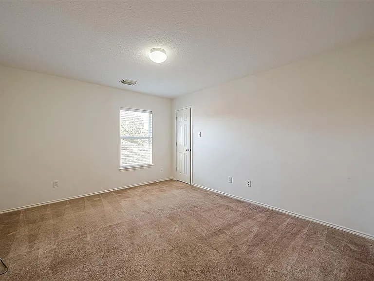 17210 Double Lilly Dr — Photo 28