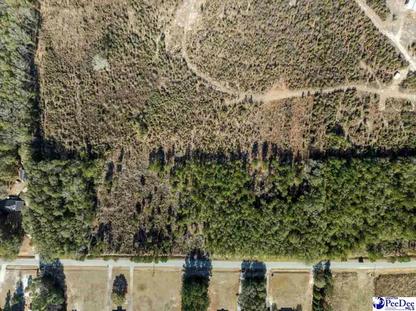 Tbd Timmons Rd, Timmonsville, SC 29161