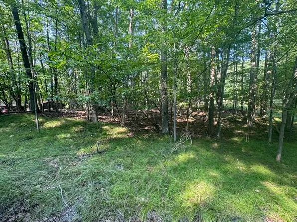 Timberlane Dr, Stanwood, MI 49346