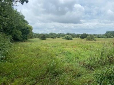 0 Phal Rd, Grass Lake, MI, 49240