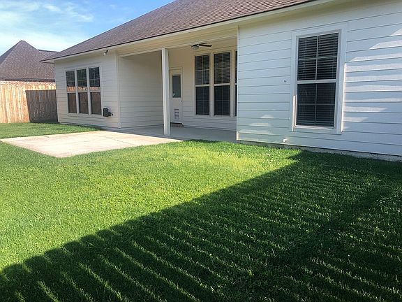 Back yard / patio