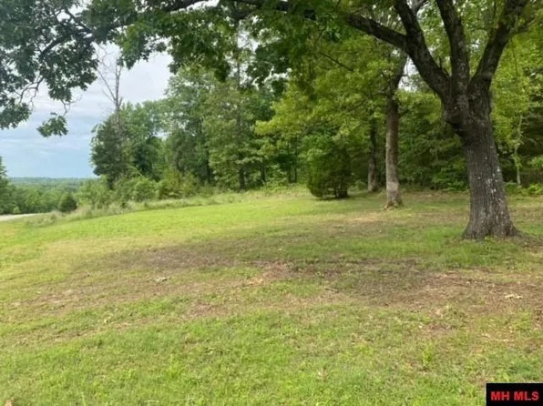 1 Willowesque Ct, Mountain Home, AR 72653