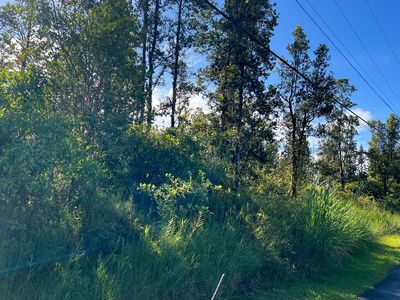 Lehua, Mountain View, HI, 96771