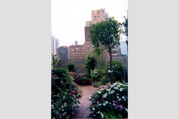 Sold by Stribling | media 15