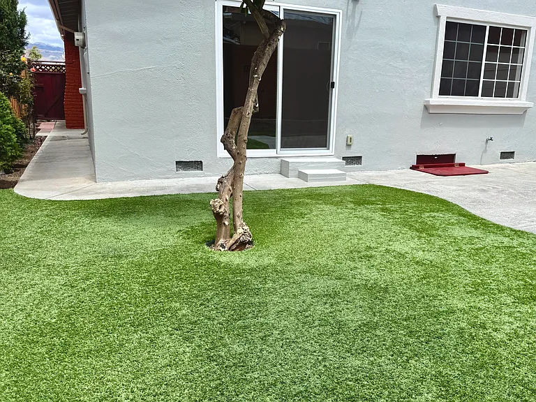 Backyard with Synthetic Grass